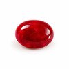Red Coral